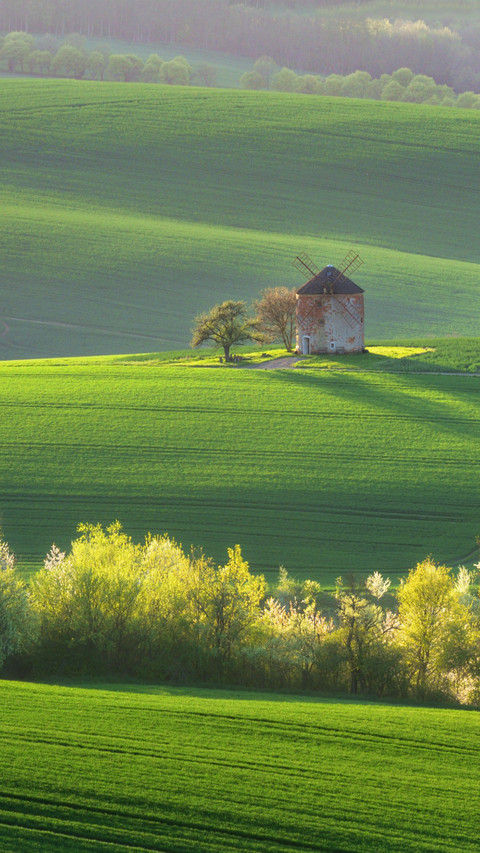 The hillside windmill under the sunset screenshot