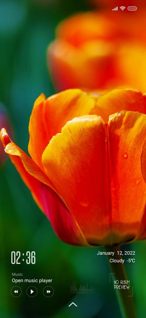Tulips duo screenshot