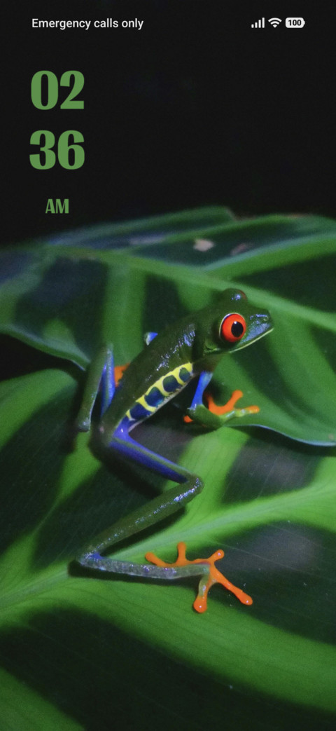 Frog screenshot