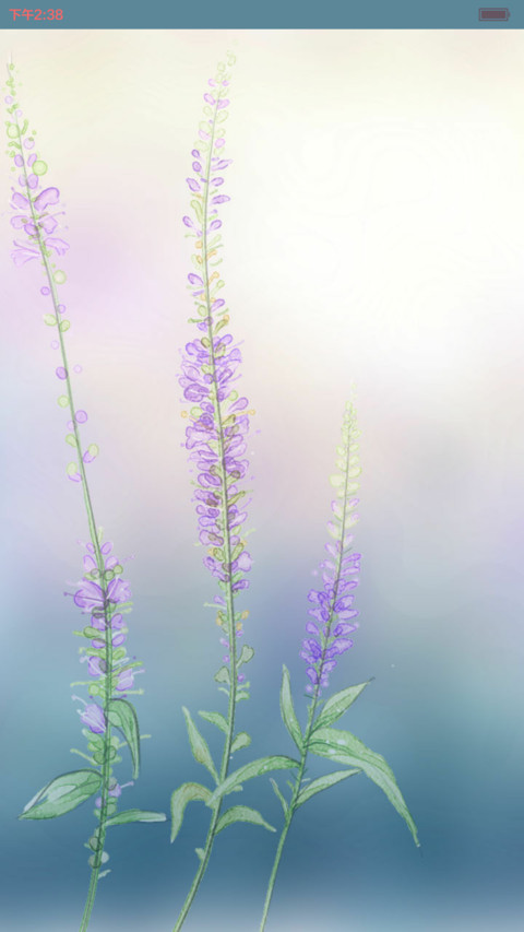 薰衣草小琢 screenshot