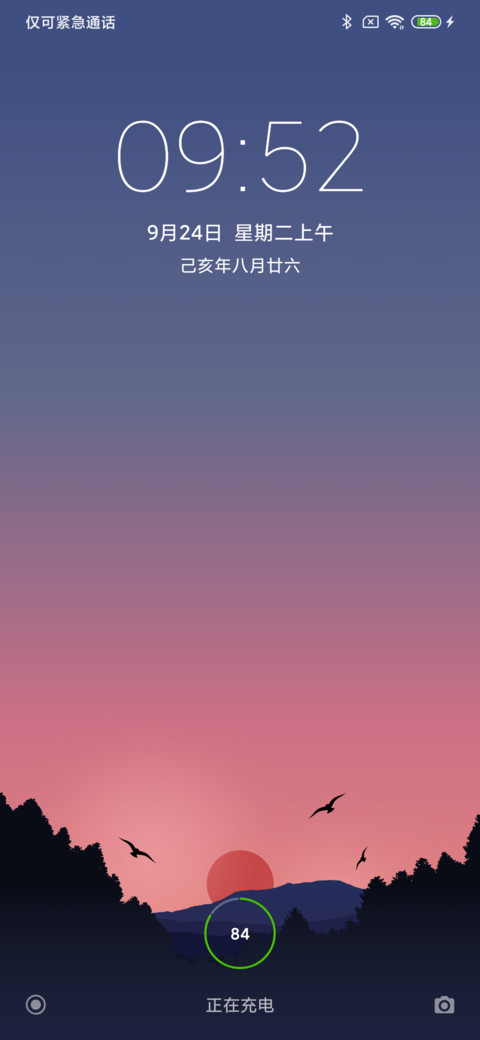24H壁纸—Forest screenshot