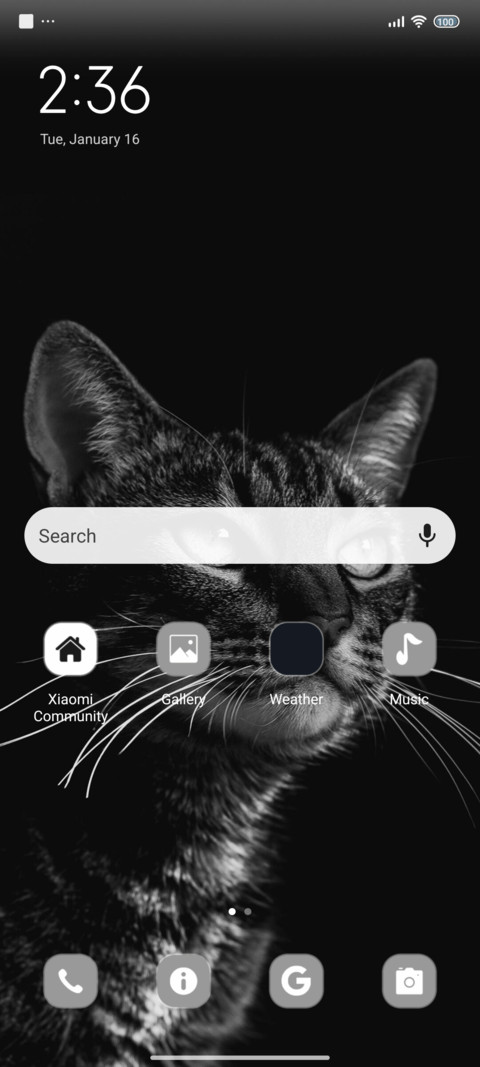 Black Cat screenshot