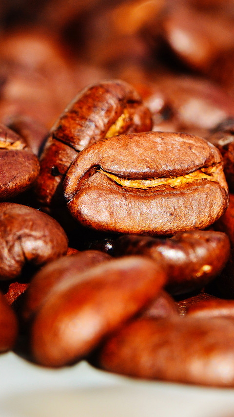 coffee (6) screenshot