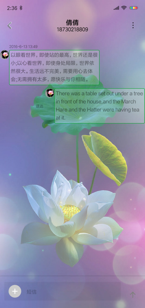 最美荷花 screenshot