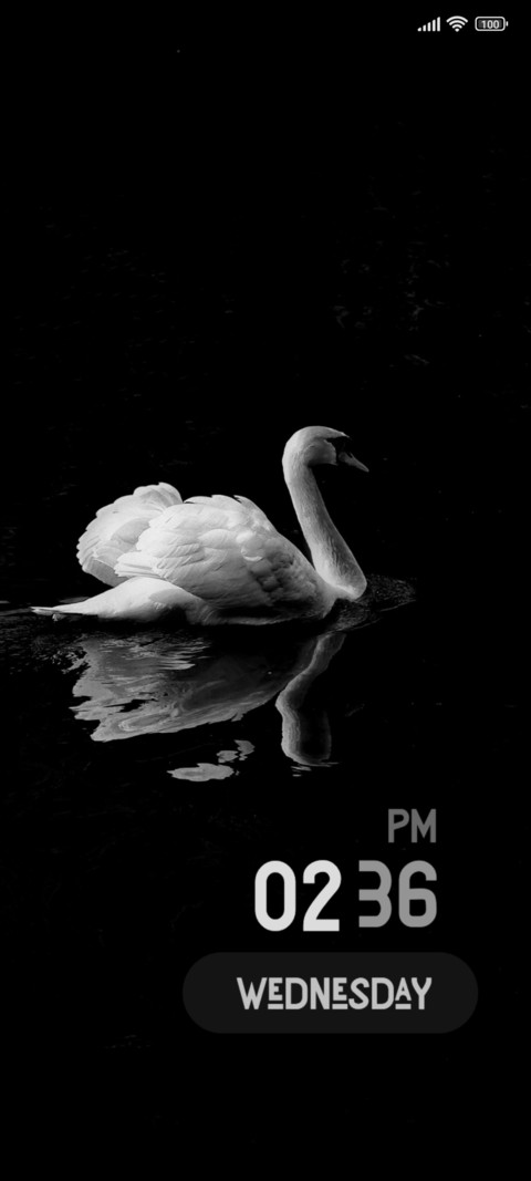 Dark Swan screenshot