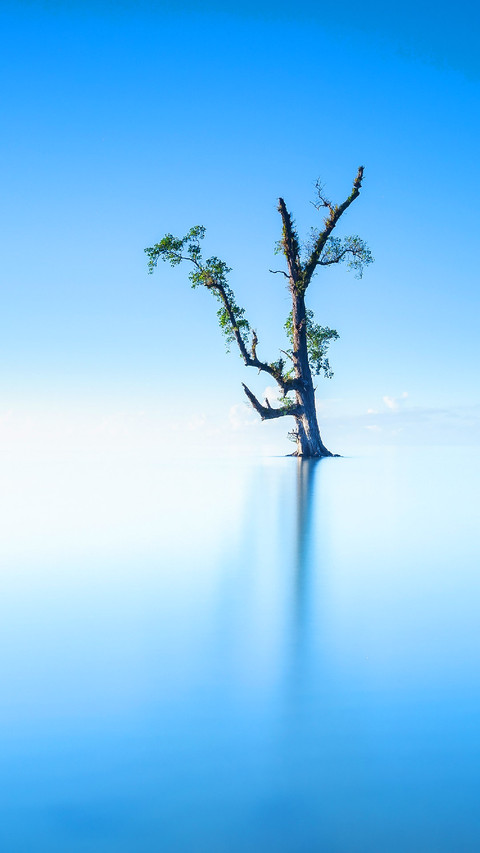 静谧沙巴 screenshot