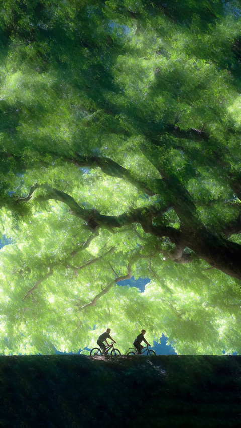 光影里的自然与行旅 screenshot