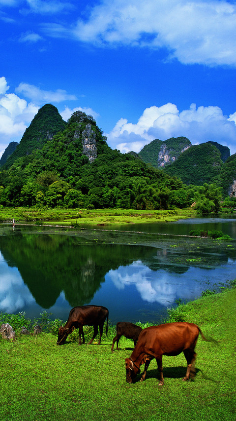 Ten Most Classic Scenic Spots in China 6 screenshot