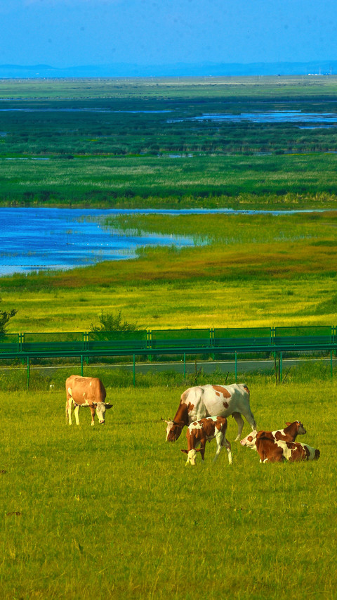 The pastoral song of the grassland and the intoxicating screenshot