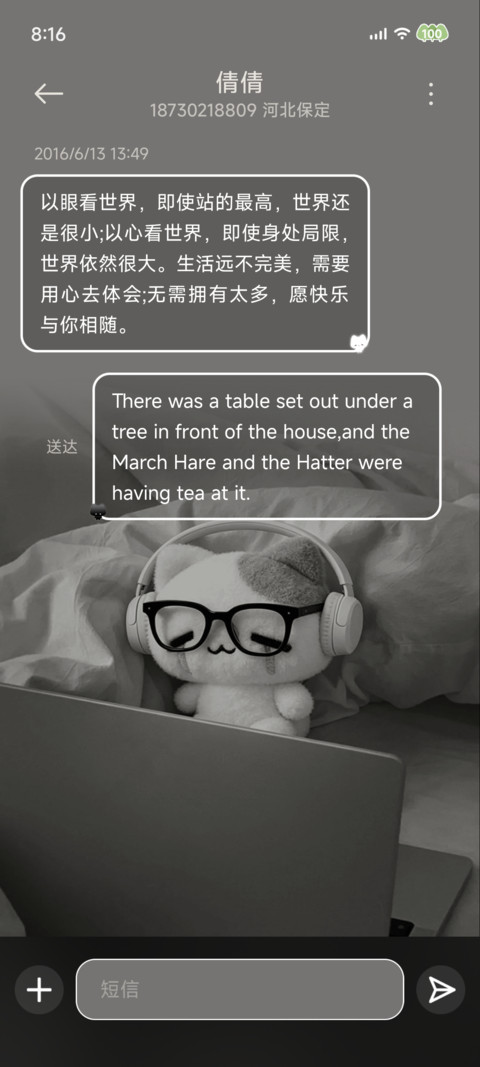 ins淡淡忧郁小猫 screenshot