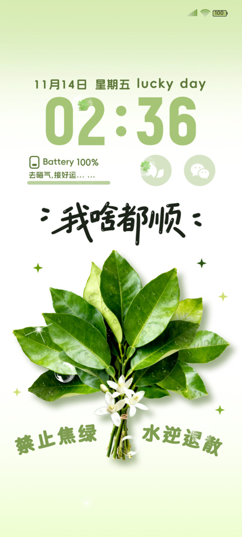 柚子叶我啥都顺 screenshot