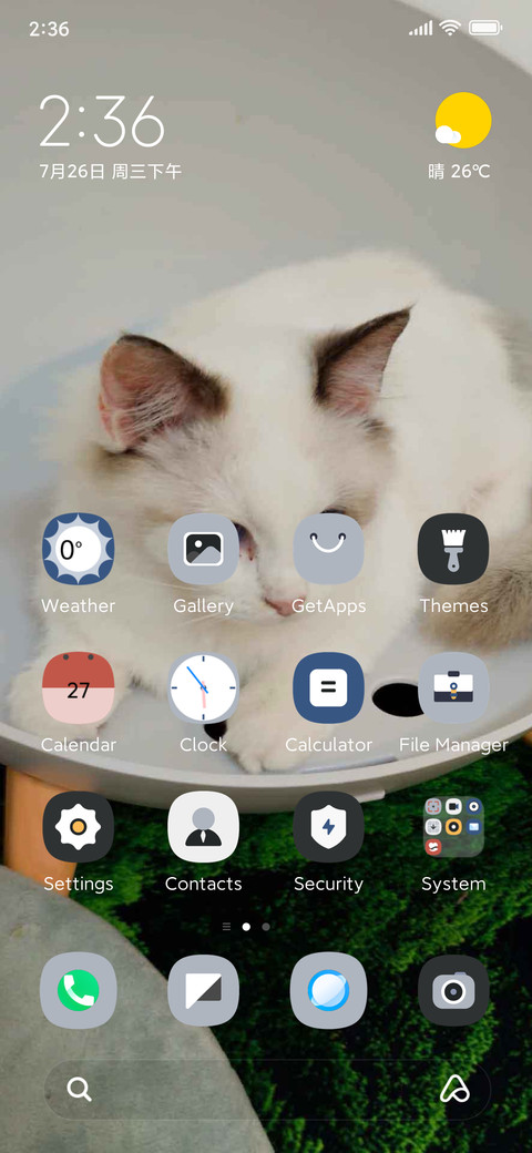 Lazy Cat screenshot