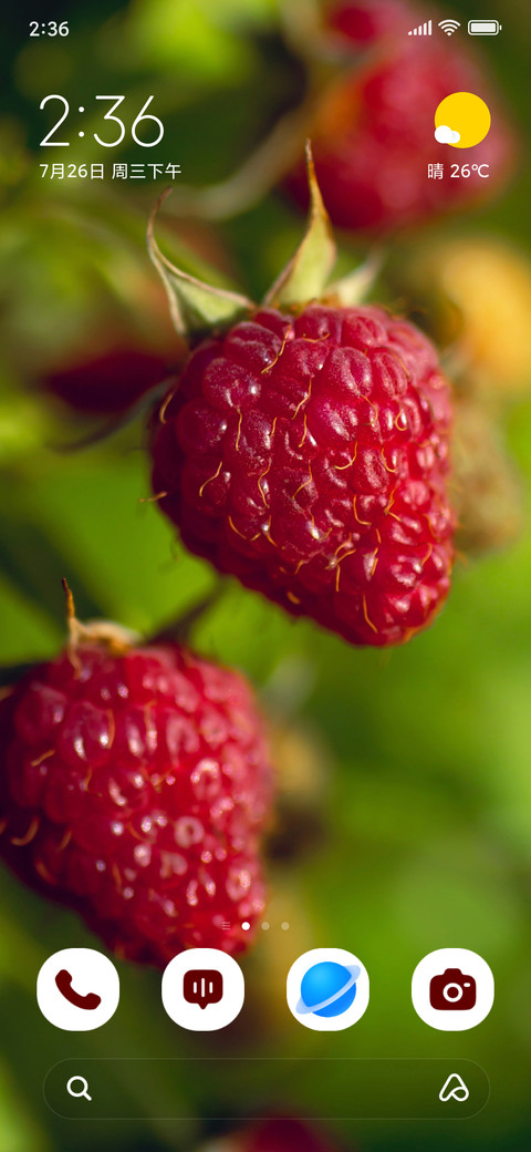 Berry Duo screenshot
