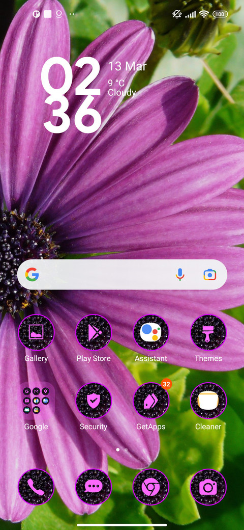 daisy purple screenshot
