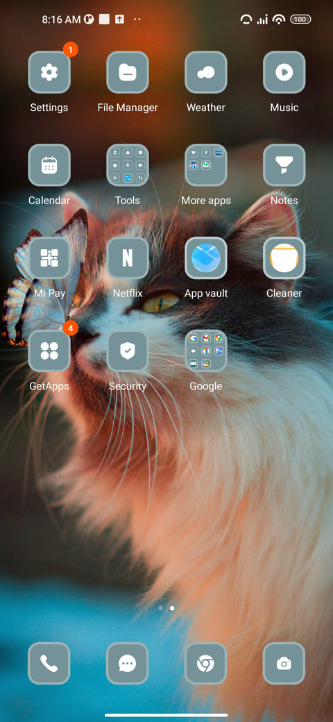 Cat screenshot