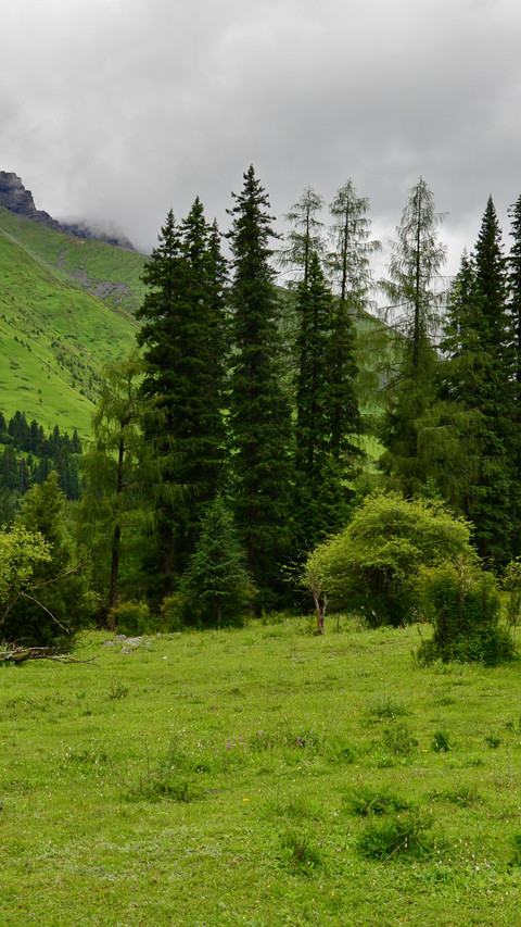 A cool walk in the green fields of shuangqiao valley screenshot