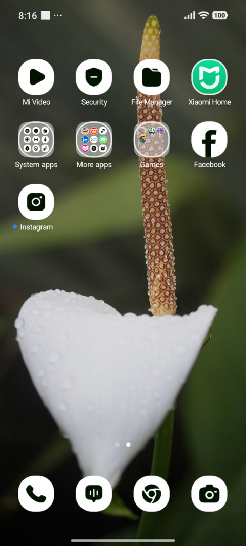 Tropical Grace screenshot