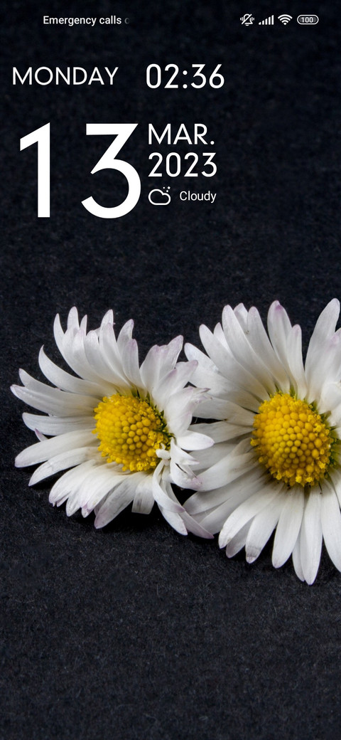 daisy pair screenshot