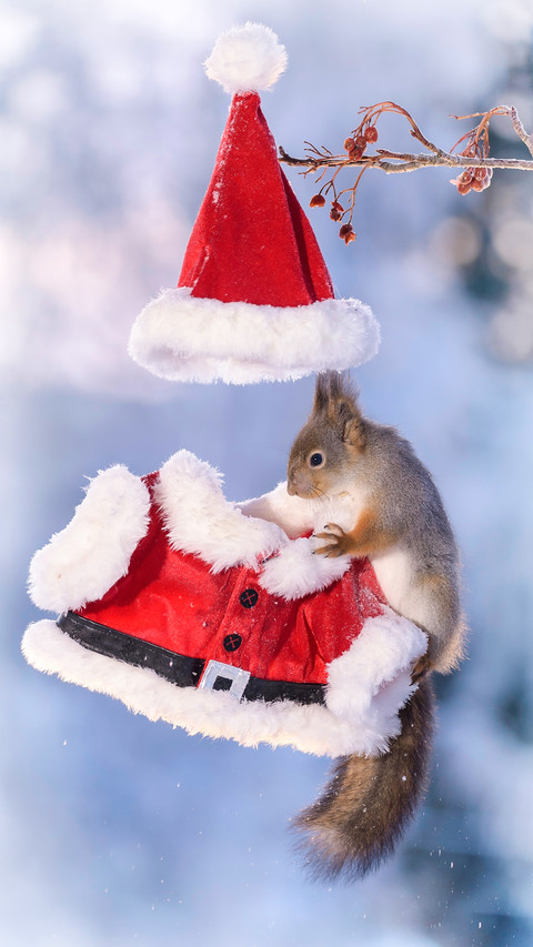 Cute mammals unmanned screenshot