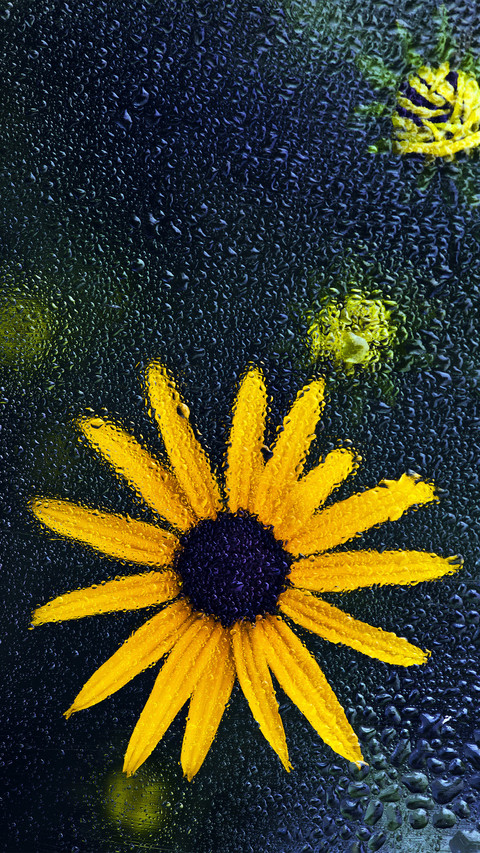 How to avoid making vulgar flower works 2 screenshot