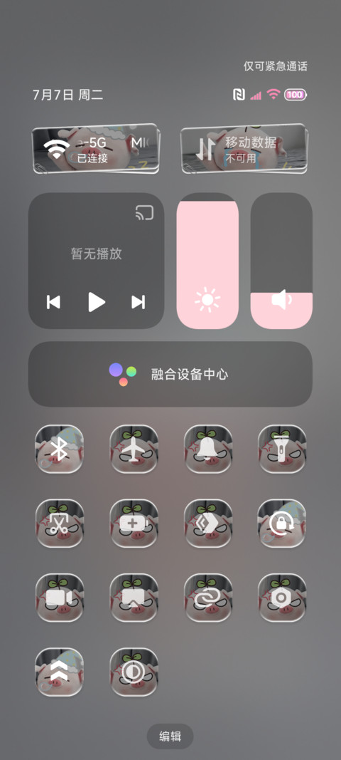 重感 最萌小猪包 screenshot