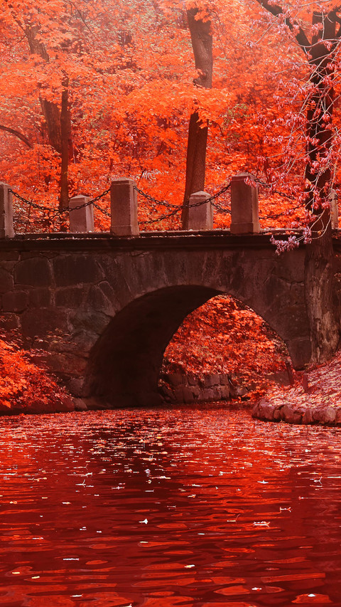 Autumn Art Painting screenshot