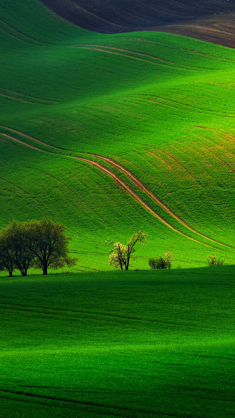 Green landscape scenery screenshot