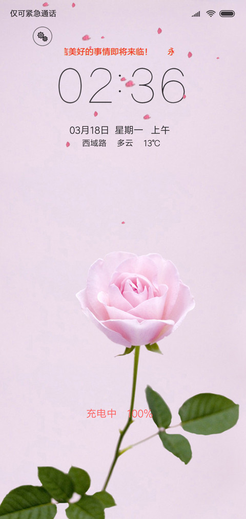 玫瑰花恋 screenshot