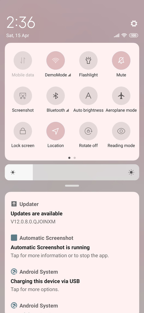 Big face bear screenshot