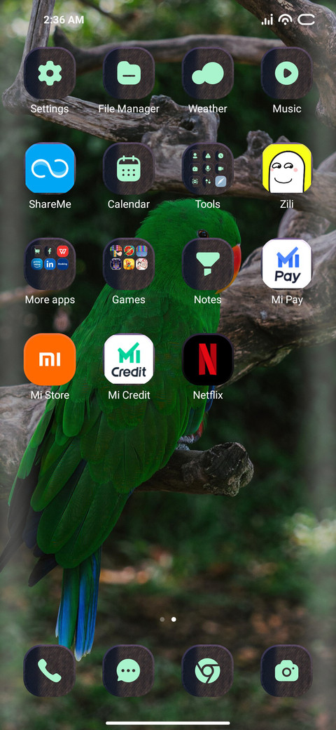 Parrot screenshot