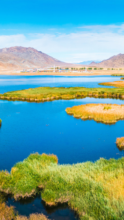 Lake reed wetland screenshot