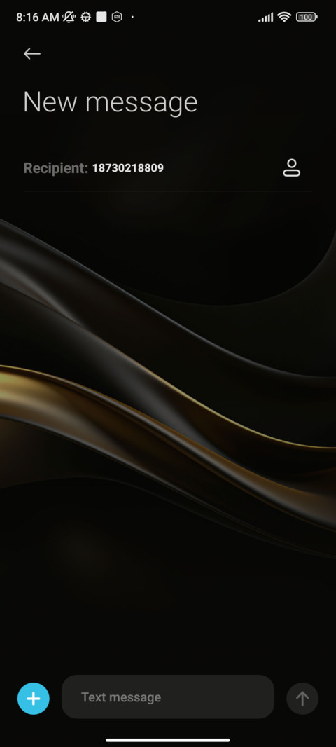 Shadow Chase Gold screenshot