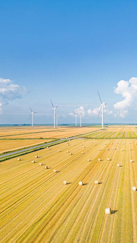 Harvested grain field in North Friesland screenshot