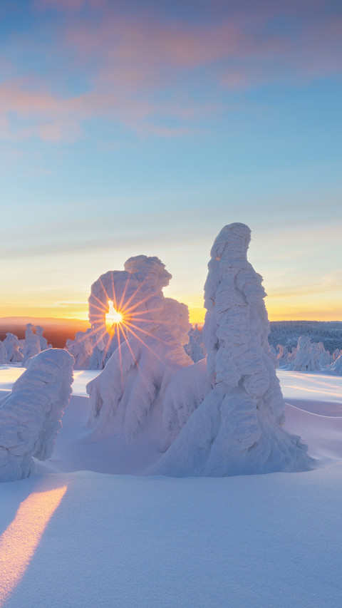 Beautiful Winter Wonderland Scenery screenshot