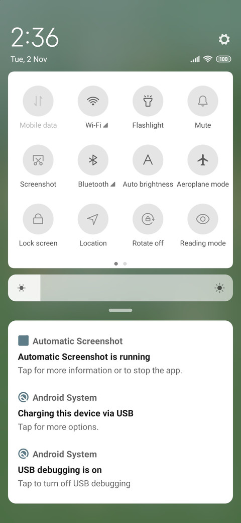 Bear spring screenshot