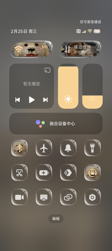 ins新年小狗送福 screenshot