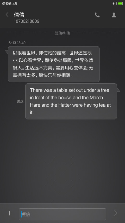 酷黑质感风 screenshot