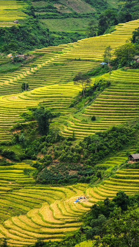 Terraces in Yunnan screenshot