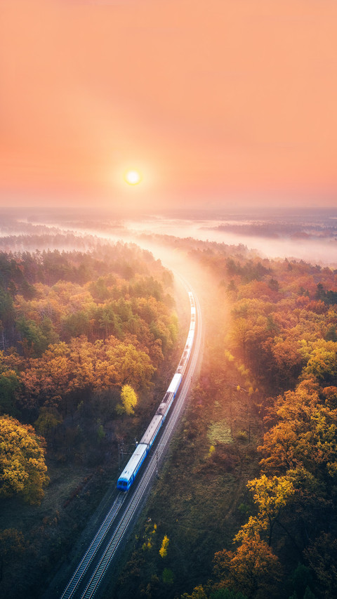 Train in beautiful forest in fog at sunrise in autumn screenshot