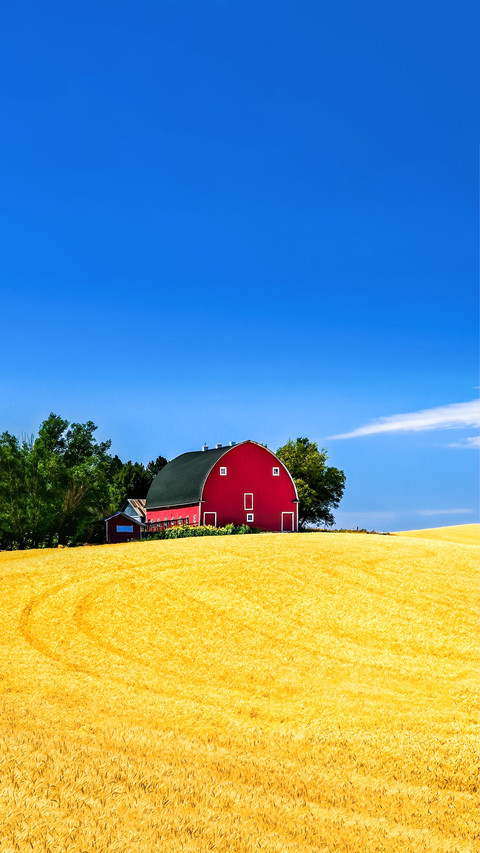 Farm House in a Farm Field screenshot