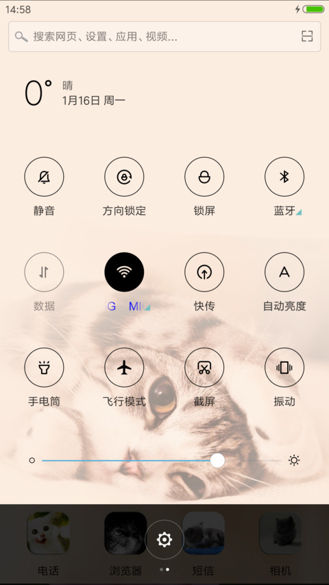 瞧，这萌猫 screenshot
