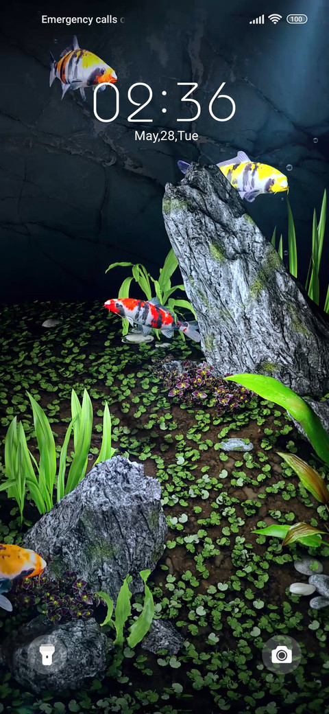 Koi Aquarium screenshot