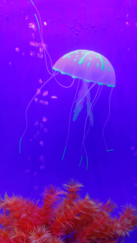 Luminous jellyfish-07 screenshot