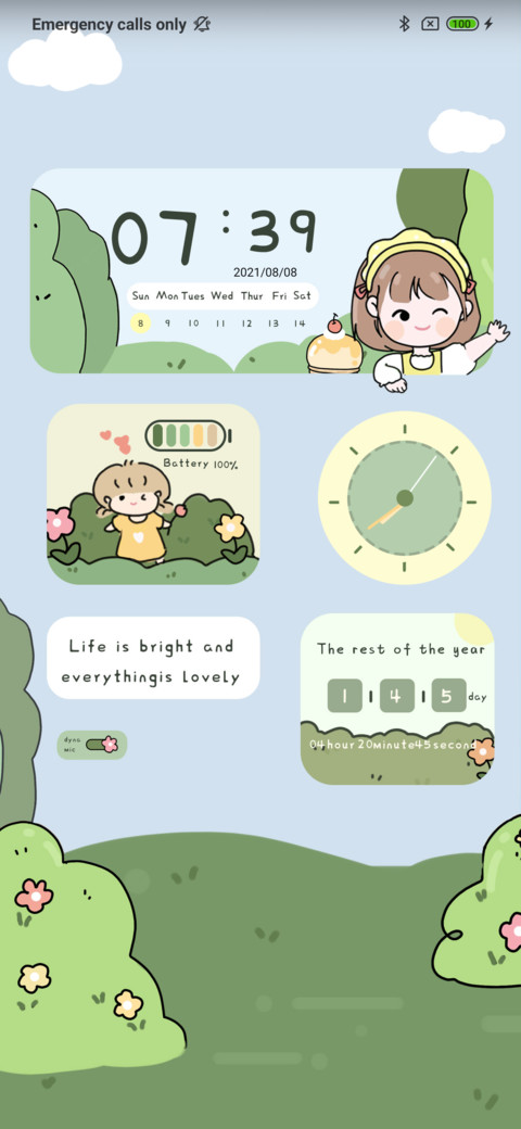 Hello life widget screenshot
