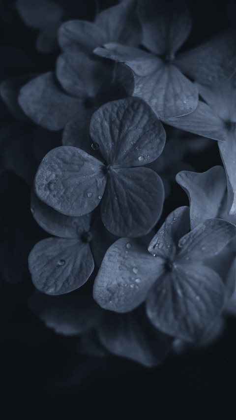 雨露清明 (3) screenshot