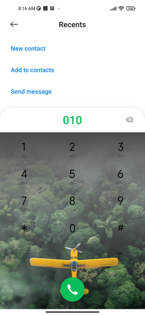 Forest flight screenshot
