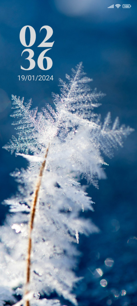 Frozen Beauty screenshot