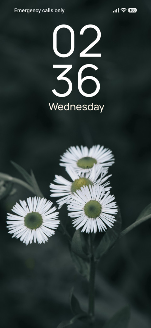 Monochrome Daisy screenshot