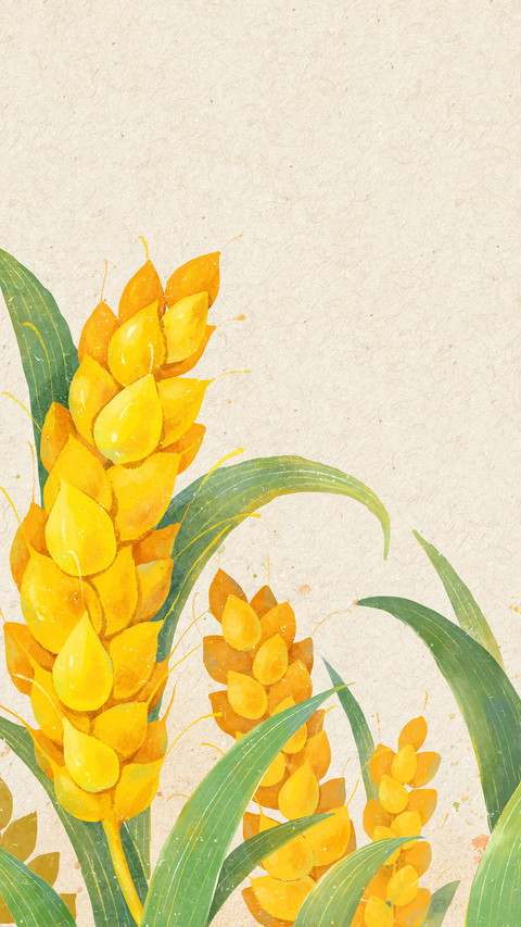 Grain in ear screenshot
