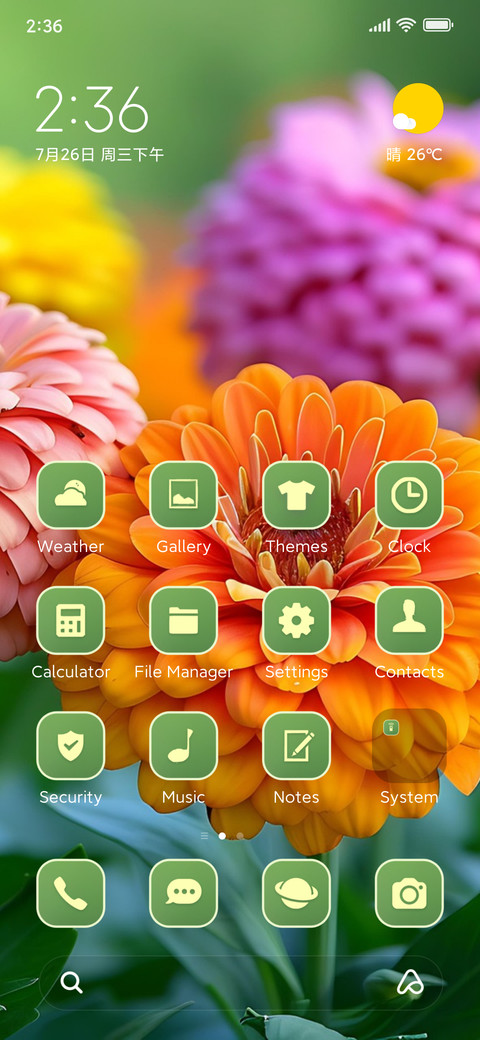 colorful dahlias screenshot
